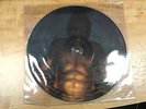 TOOL ?-- CESARO SUMMABILITY Picture Disc LP Vinyl Record NEW, Rare Aenima Promo