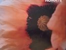 Humate  