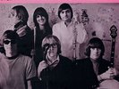Simply Vinyl - Surrealistic Pillow