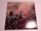 STEELY DAN 