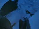 Rare  Madonna I Love You  Live Who That Girl Tour 1987 12