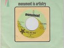 CL and the Pictures Baby Not Now/Jigsaw Puzzle 1971 vinyl funk soul 45 NM promo