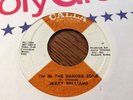 Jerry williams/run run roadrunner-im in the danger zone VG+ 45RPM