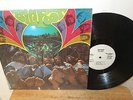 Rare BIG FOOT Self-Titled LP White Label Private PSYCH Garage Hippie Rock SHRINK