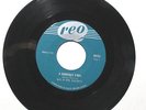 VERY RARE  1967 CANADIAN GARAGE 45 rpm – M.G. AND THE ESCORTS- “A SOMEDAY FOOL