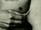 Stretching Out Alan Bown vinyl LP album record UK ILPS9163 ISLAND 1971