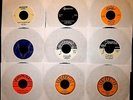 RARE ROCKABILLY RECORD RIOT 9 WILD EXACT REPROS WRAY, WAGGONER, WILLIS, HAWKS,