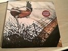 Circa Survive - Juturna ( Transparent Red Marble Vinyl LP On Letting Go )