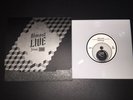Built To Spill Good Enough Flexi Disc Single Non LP Modest Mouse