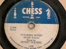 MUDDY WATERS WALKING BLUES ROLIN' STONE CHESS 78 PAUL BUTTERFIELD ROLLING STONES