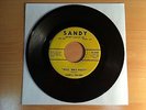 DARRYL VINCENT Wild, wild party US SP SANDY 1020 ROCKABILLY ORG.