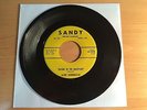 JACKIE MORNINGSTAR Rockin' in the graveyard US SP SANDY 45-1018 ROCKABILLY ORG.