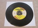 HECTOR RIVERA - I WANT A CHANCE FOR ROMANCE - SOULFUL TORINO LABEL
