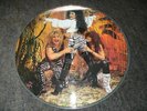 OZZY OSBOURNE: Ultimate Sin Live  Picture Disc Vinyl Rare Jake E Lee