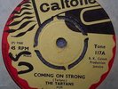 TARTANS Coming On Strong / It's All Right CALTONE 117 Tommy McCook SKA ROOTS