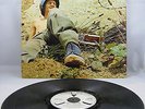 WARM DUST - 
