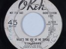 Northern Soul 45 TAN GEERS What's The Use Of Me Trying OKEH HEAR