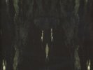 Impetuous Ritual - Unholy Congregation Of Hypocritical Ambivalence Vinyl US 2LP