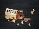 American Aquarium - Wolves [Vinyl New]