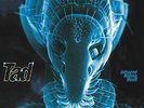 Tad-Infrared Ridinghood (1LP) VINYL NEW