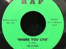 The Flairs - You Got To Steal It / Where You Live 7
