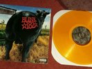 BLINK 182 _ DUDE RANCH  2 ND PRESS ON ORANGE VINYL LIMITED TO 500