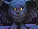 RUSH - FLY BY NIGHT (RJ-7012-P) PICTURE DISC LP