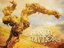 Boisson Divine - Enradigats                                                (neu)