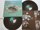 QUASI - Field Studies 1999 UP RECORDS 2LP + insert INDIE ROCK