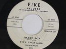 DICKIE GARLAND: Shake Bop / You're Gonna Be Sorry 45 (dj, xol) rare Rockabilly