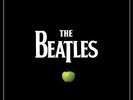 The Beatles In Stereo Vinyl Box [Boxed Set] [VINYL] The Beatles Vinyl