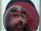 PICTURE DISC - 12