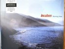 NEW SUPER RARE Incubus - Morning View Blue Vinyl Limited / Numbered make science