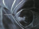 Spin Marvel - Infolding