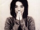 Björk - Debut