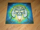LP Vinyl Motorhead Overkill Bronze Records 1979 , VG