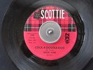 rare GARAGE/SURF 45  SPIDER WEBB 