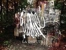 Wildlife - LA DISPUTE [LP]