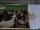 The Beach Boys - Pet sounds DCC vinyl LP