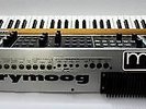 Synthesizer - moog  Analog