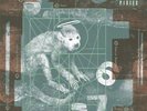The Pixies - Doolittle++Vinyl 180g +++MFSL 1-309+++NEU+++OVP