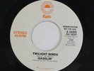 GASOLIN': Twilight Birds / Mono 45 (dj) rare Rock & Pop