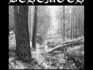BEHEMOTH-AND THE FORESTS DREAM ETERNALLY (LTD.VINYL)-VINYL LP METAL MIND NEU