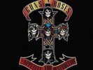 Guns 'N' Roses - Appetite For Destruction (LP) (Vinyl LP / Album) (New)