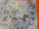 The cure disintegration picture disc lp