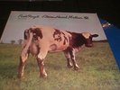 PINK FLOYD Atom Heart Mother LP unplayed blue  vinyl