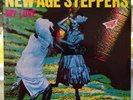 NEW AGE STEPPERS & DJ - Love Forever / My Love (12