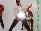 BO DIDDLEY  SELF TITLED  CHESS LP 1431   BLACK LABEL   1ST LP