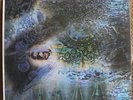 Pink Floyd ?– A Saucerful Of Secrets LP VENEZUELAN PRESS Harvest 1973