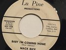MACK RICE-BABY I'M COMING HOME /MY BABY - WLP-NORTHERN R&B 45 on LU PINE
